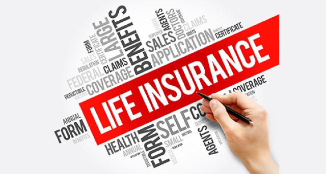 Life insurance, Term life, Whole life, Death benefit, Premiums, Cash value, Financial planning, Insurance comparison, Wealth building, Policy options.