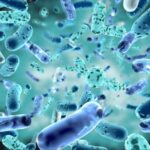 Probiotics help in gut health, mental health eases anxiety and depression