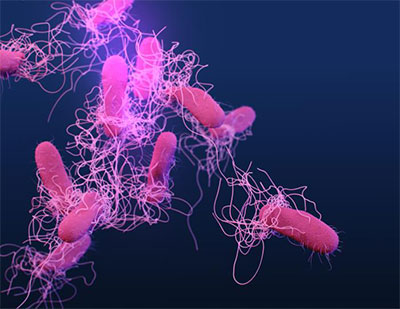 Salmonella, bacteria, CDC, illness, salmonellosis, typhoid fever, paratyphoid fever, symptoms, diarrhea, fever, stomach cramps, severity, complications, diagnosis, treatment, antibiotics, long-term effects, recovery, reactive arthritis, joint pain, transmission sources, intestines, contaminated food, water, vulnerable groups, children, infants, adults over 65, weakened immune systems, medications, antimicrobial resistance, prevention, awareness, responsible antibiotic use, prevalence, United States.