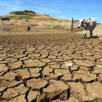 drought, Southern Africa, SADC, El Niño, food security, climate crisis, humanitarian aid, agriculture, Zimbabwe, Zambia, Malawi, crop failure, hunger, international appeal, climate change, food shortage, regional summit, disaster response, weather patterns, economic impact