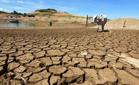 drought, Southern Africa, SADC, El Niño, food security, climate crisis, humanitarian aid, agriculture, Zimbabwe, Zambia, Malawi, crop failure, hunger, international appeal, climate change, food shortage, regional summit, disaster response, weather patterns, economic impact