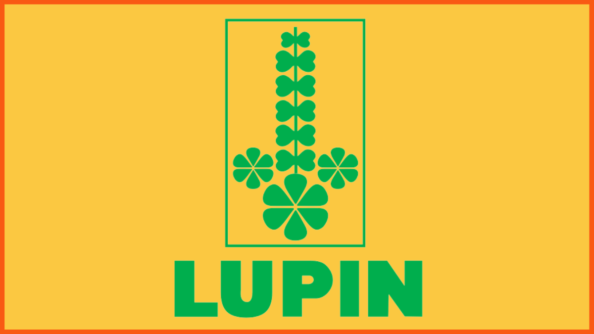 Lupin