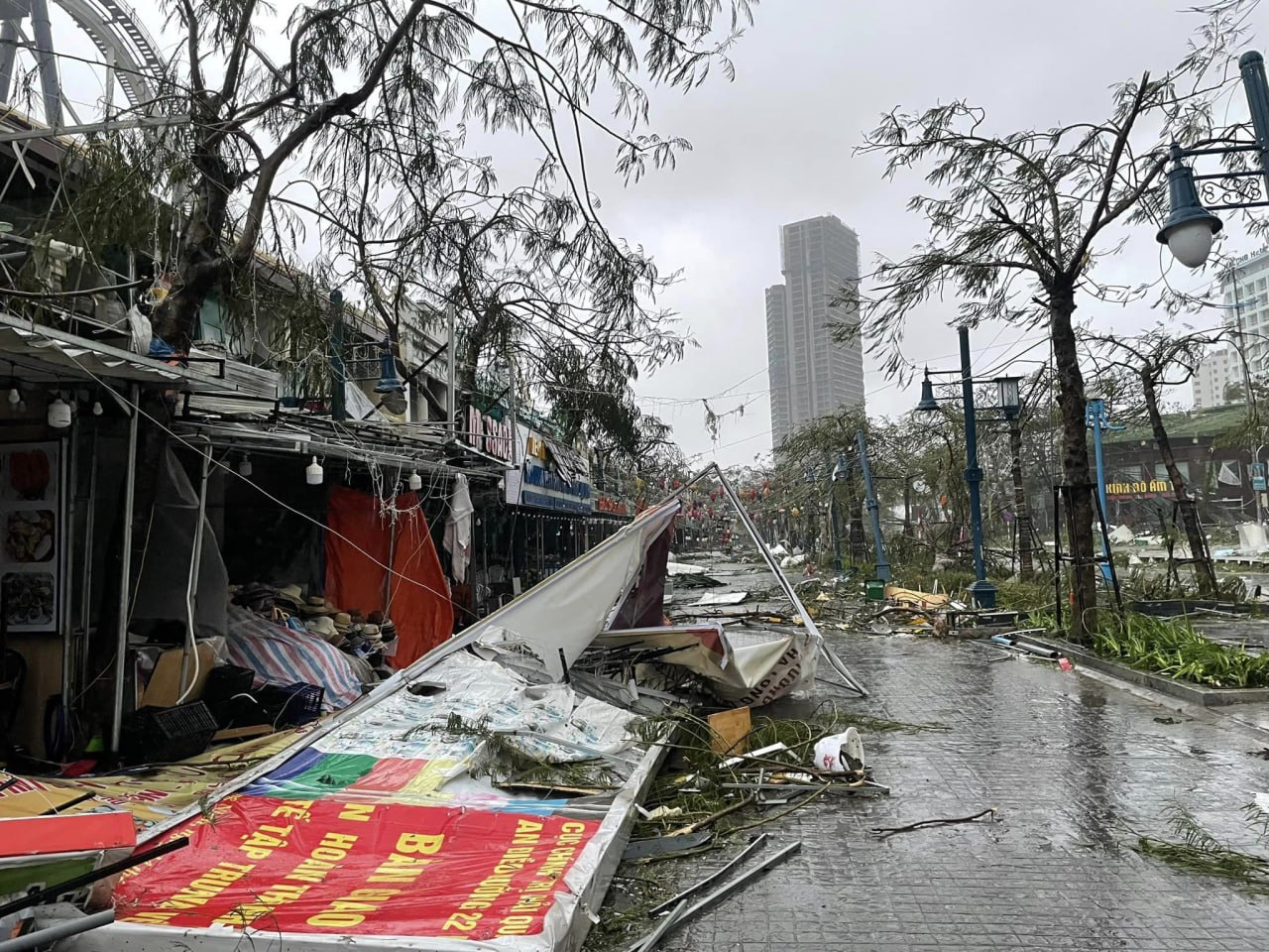 Typhoon Yagi